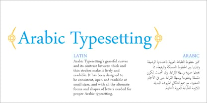 Arabic Typesetting Font Poster 4