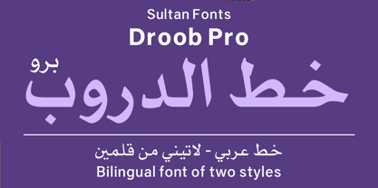 SF Droob Pro Font Poster 1