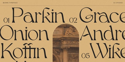 CCS Bjork Font Poster 14