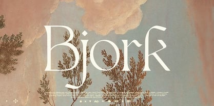 CCS Bjork Font Poster 1