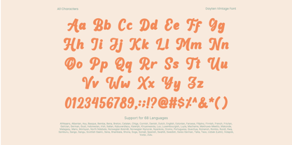 Dayten Vintage Font Poster 9