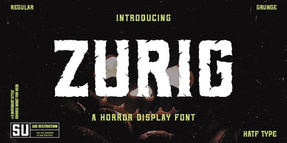 Zurig Font Poster 1