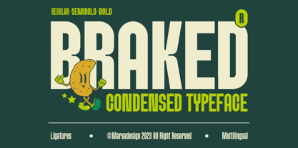 Braked Font Poster 1