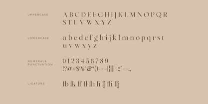 Zofiere Font Poster 14