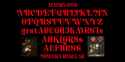 Mowera Font Poster 12