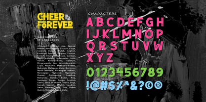 Cheer Forever Font Poster 9