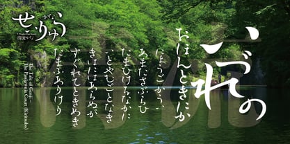 Seiryu Kana Font Poster 5