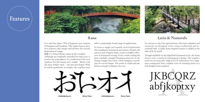 Seiryu Kana Font Poster 3