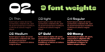 Boldyfox Font Poster 5