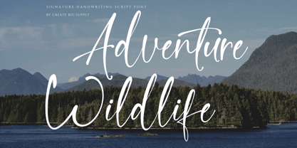 Quillia Font Poster 4