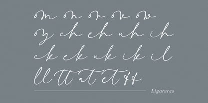 Adoration Signature Font Poster 8