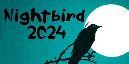 Nightbird 2024 Font Poster 1