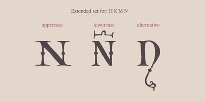 Carolingian Majuscul Font Poster 11