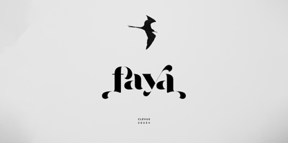 Faya Font Poster 12