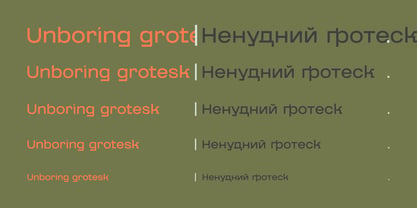 Grunt Grotesk Font Poster 12