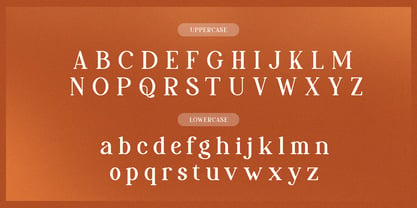 Reihard Sejenak Font Poster 10