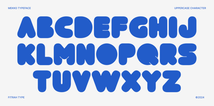 Mekko Font Poster 2