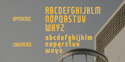 Venzira Font Poster 9