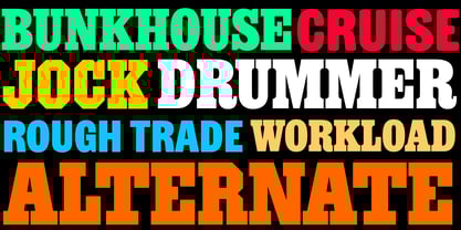 Ringold Font Poster 4