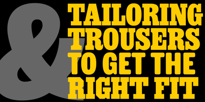 Ringold Font Poster 5