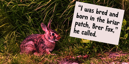Brer Rabbit Font Poster 5