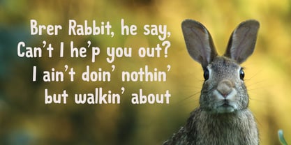 Brer Rabbit Font Poster 4