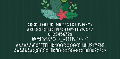 Precious Christmas Font Poster 6