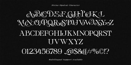 Divine Opulent Font Poster 10