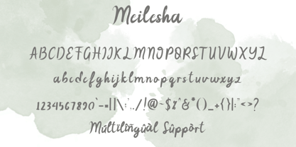 Meilesha Font Poster 6