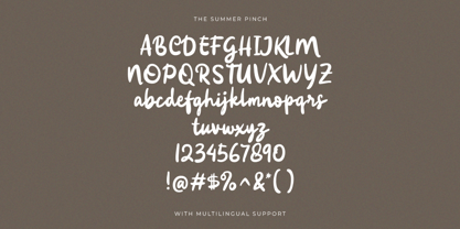 The Summer Pinch Font Poster 8