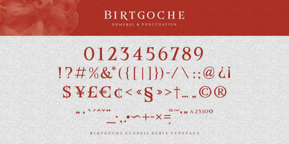 Birtgoche Font Poster 9
