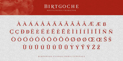 Birtgoche Font Poster 10