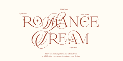 Romance Dream Police Poster 7