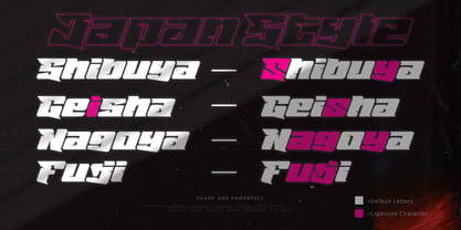 Ninja Cyber Font Poster 4