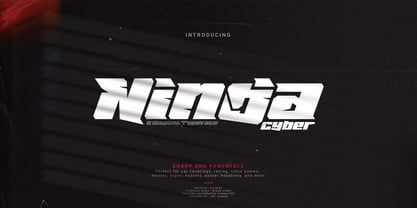 Ninja Cyber Font Poster 1