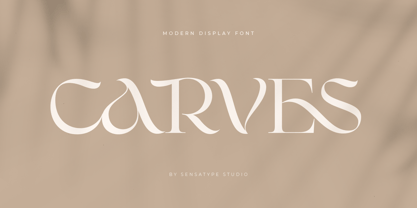Carves Font Poster 1