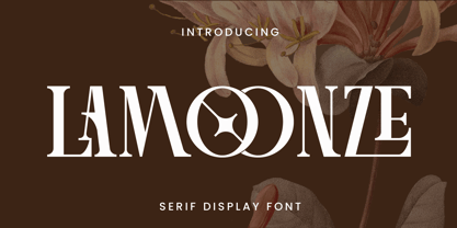 Lamoonze Font Poster 1