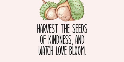 Harvest Joy Font Poster 3