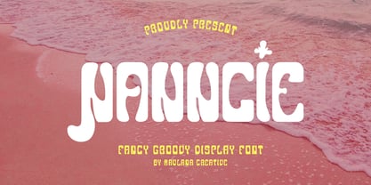 Nanncie Fancy Groovy Display Font Police Poster 1