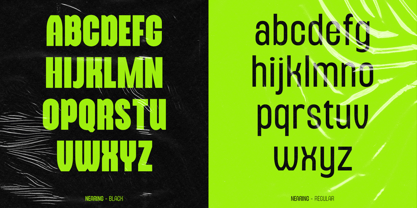 Nearing Condensed Sans Font Poster 9