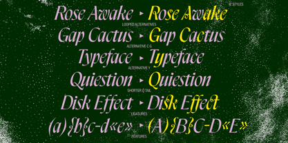 Pahin Font Webfont Desktop MyFonts Pahin Font Webfont Desktop MyFonts