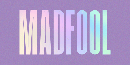 Madfool Police Poster 1