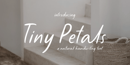 Tiny Petals Font Poster 1