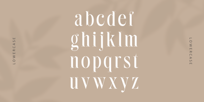 Bilqust Font Poster 5