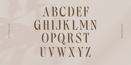 Bilqust Font Poster 4