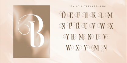 Bilqust Font Poster 6