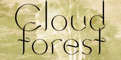 Cloudforest Font Poster 1