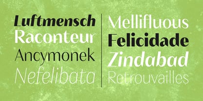 Nefelibata Font, Webfont & Desktop