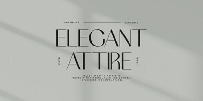 Amore Elegant Sans Serif Font Poster 6