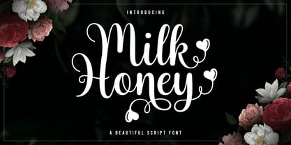 Milk Honey Script Font Poster 1